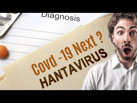 What is Hantavirus and how it spreads