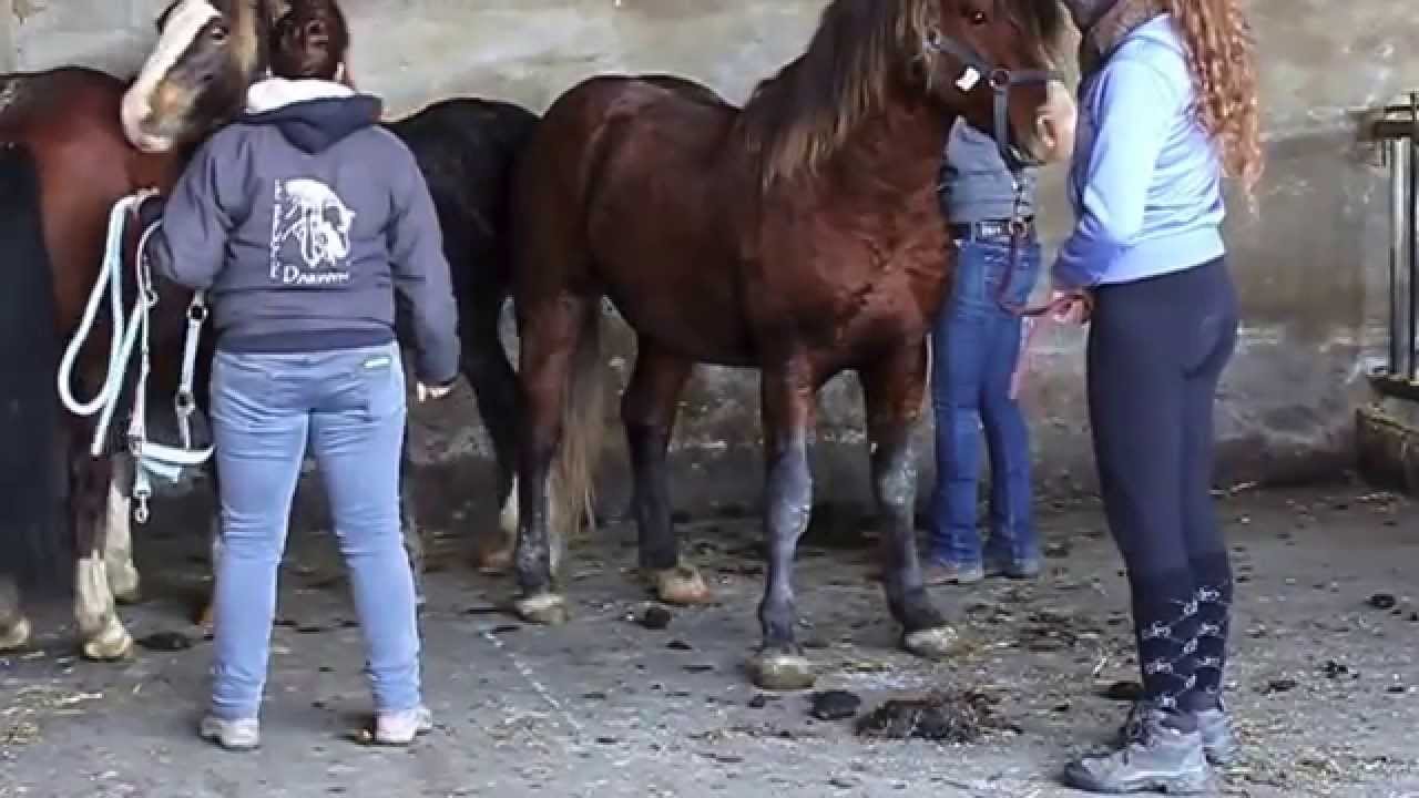 Sauvetage 31 octobre 2014