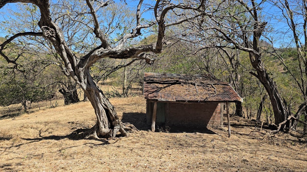 Sin Ruidos sin Humo sin Asfalto Vivir acá sería un sueño Ideal 