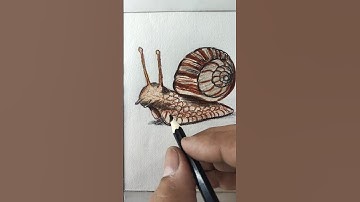 How to draw a Snail #shortvideo #drawing #art #easydrawing #realistic #snail #shortsfeed #shorts