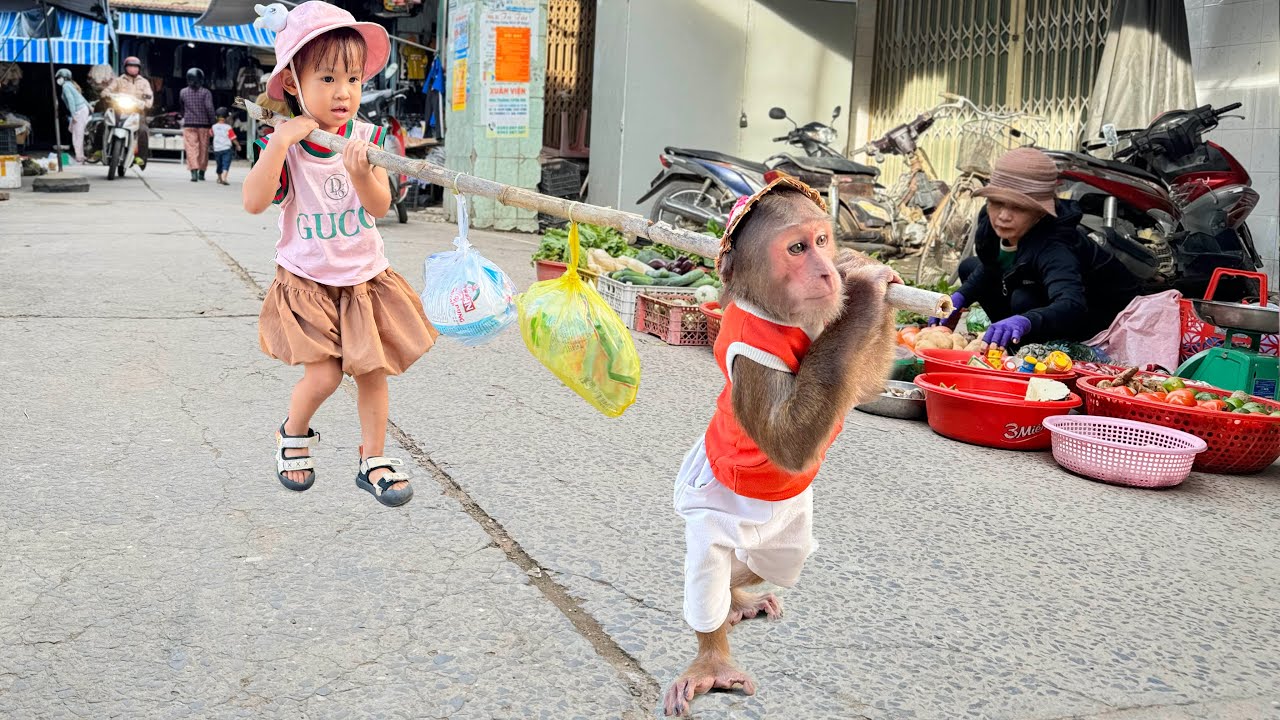 Cutis Takes Yen Nhi Go Market Buy Flour Make Sweet Potato Cake For Breakfast