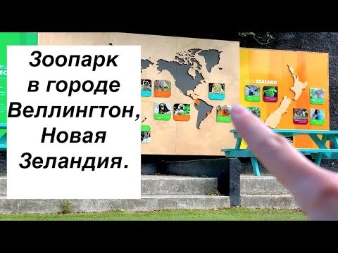 Видео: Ручная скульптура в Веллингтоне, Новая Зеландия