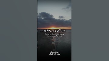 تلاوة خاشعة للشيخ صالح الانصاري من سورة الزمر ❤️