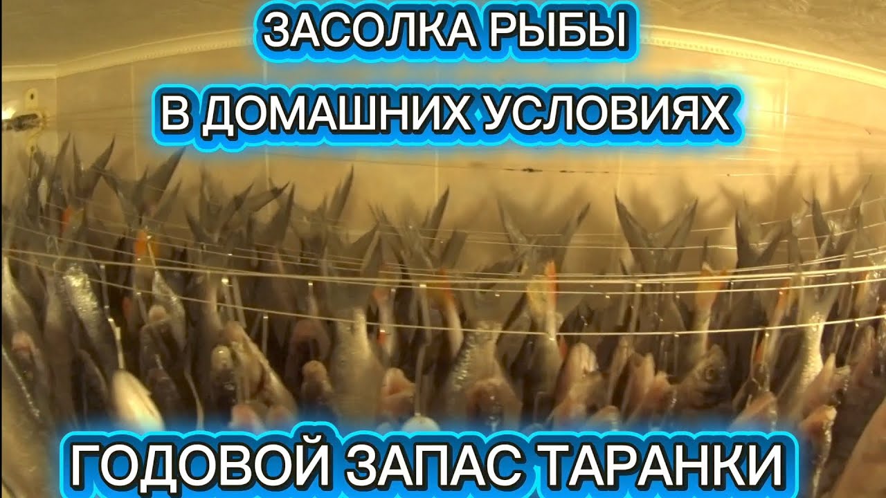 ЗАСОЛКА РЫБЫ В ДОМАШНИХ УСЛОВИЯХ 
