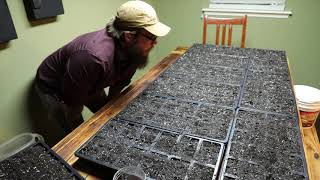 Epic| Starting 648 Seedlings For Future Food  (#55)