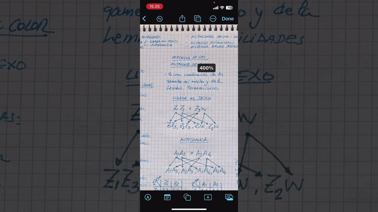 Mutaciones de Color en el Canario