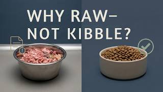 Why does the FDA warn about raw dog food, but not kibble?