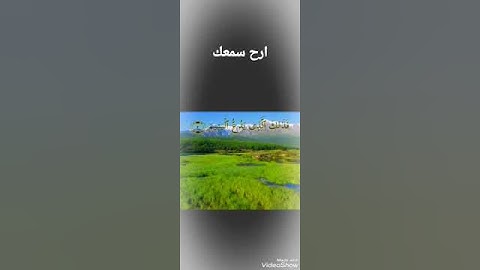 @ايات قرانية @ارح سمعك @سورة الماعون