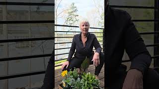 Plants Bring Life Into Your Home | Feng Shui Energy Tip for Growth & Balance