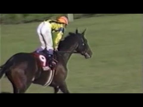 第44回 京都新聞杯 （GⅡ） ダンスインザダーク 武豊 1996.10