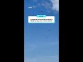 Thousands of butterflies suddenly filled the sky over a Texas beach