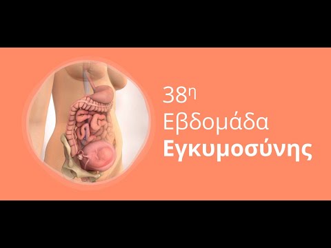 Βίντεο: Πότε 38 εβδομάδες έγκυος;