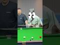 Billiard 8 ball pool funny video #123 #shorts  #funny #billiards #ball