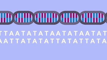 CodeNC - Computational Thinking in Biology
