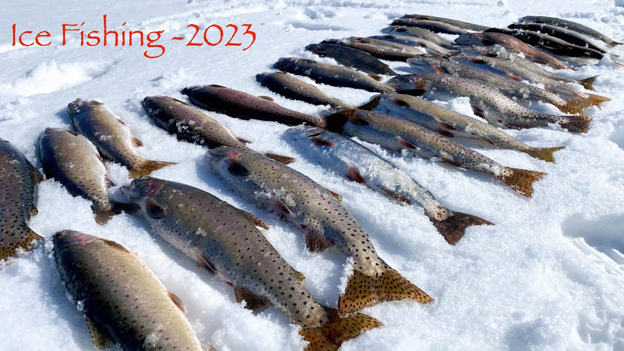 ICE FISHING 2023 YouTube