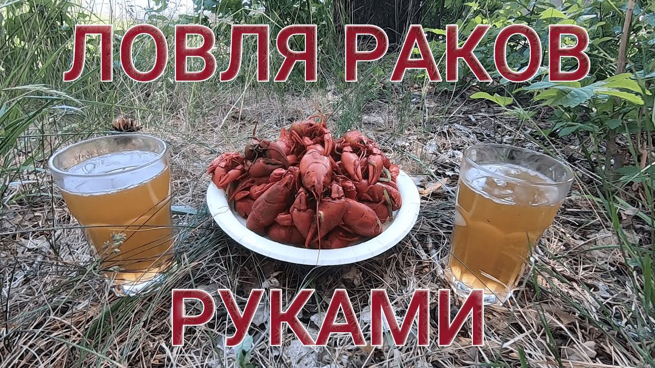 Ловля раков на оке