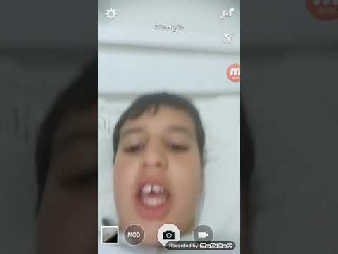 Karanlık sisli bogluk