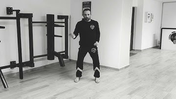 Tang Family Sheung Kung by Sifu Yuri Morelli