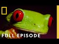 Survival Featuring Will Smith Full Episode One Strange Rock 