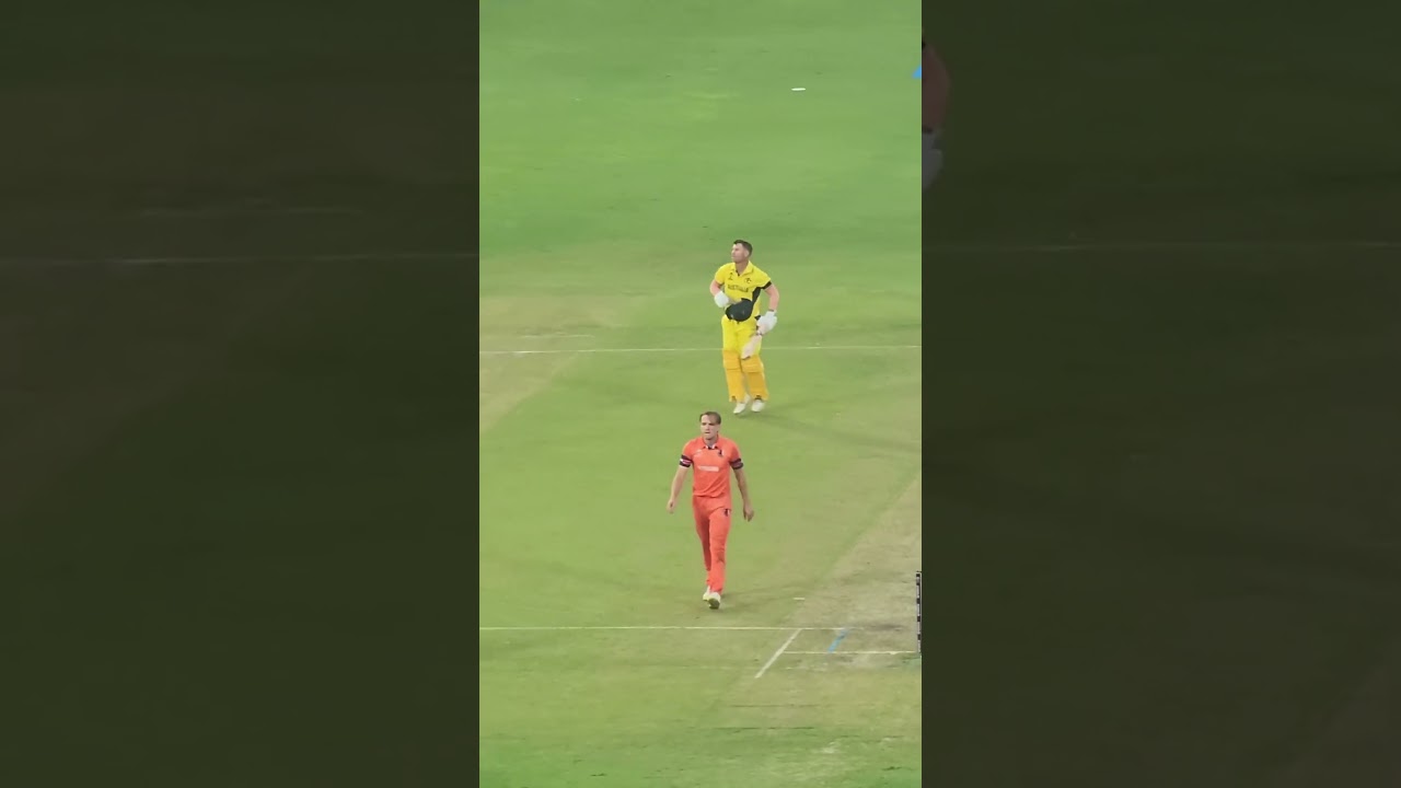 David Warner pushpa raj celebration 🎊 after century 