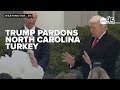 FULL: President Trump, First Lady Melania participate in annual Thanksgiving Turkey Pardon