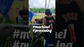 ||Fiber Processing || Pineapple Leaves || @pantheantv