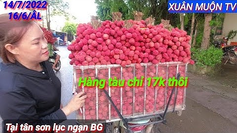 giá vải hôm nay tại tân sơn lục ngạn BG có dấu hiệu chững lại giá không tăng