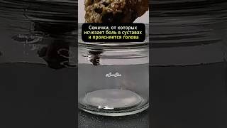 Такой смесью лечили шахтёров: без таблеток, но память как в 30 #здоровье