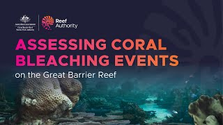 Assessing coral bleaching events on the Great Barrier Reef