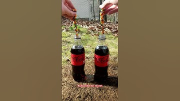 Coca Cola Vs Nerds Candy Reaction (Science Experiment)
