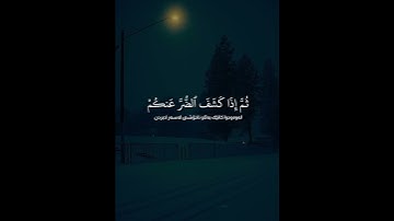 سورة النحل (الآية ٥٣ - ٥٥) القارئ عبد الرحمن مسعد