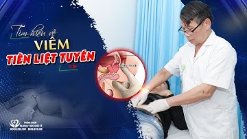 Viêm Tuyến Tiền Liệt: Nguyên Nhân, Triệu Chứng & Cách Chữa (Prostatitis)
