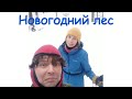 Новогодний лес и проверка настроения