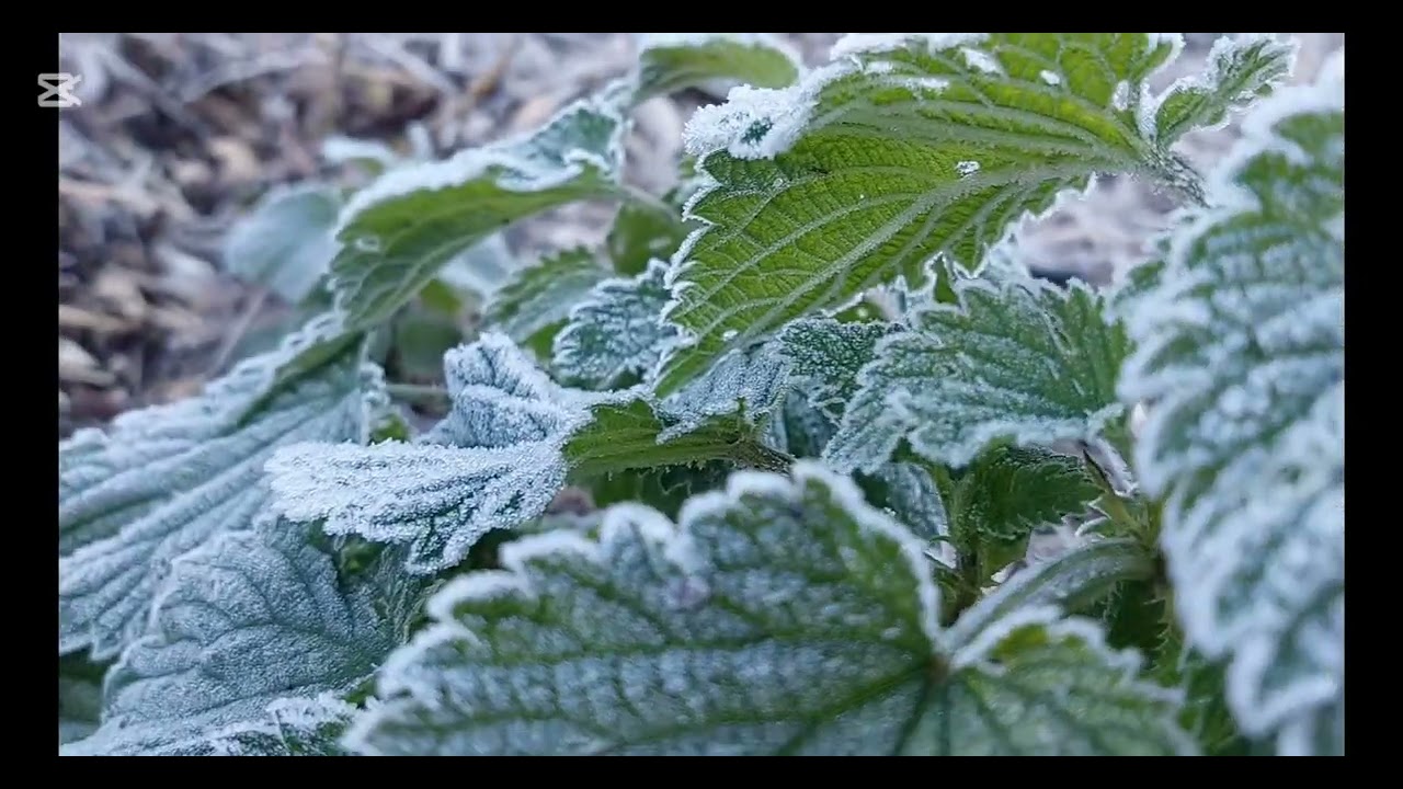DELIRIO poesia e voce Ermanno Spera musica Beppe Costa e Matteo Cavicchini 