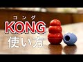 犬のおもちゃ【KONG コング】の使い方