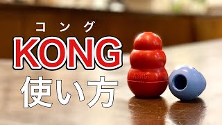 犬のおもちゃ【KONG コング】の使い方