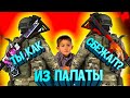 ОВОЩИ CS:GO #36 КТО ЕГО ПУСТИЛ НА faceit ?