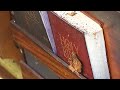 Bibles Undamaged After Fire Rips Through Church