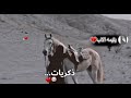 ذكركم في القلوب لم يزل 