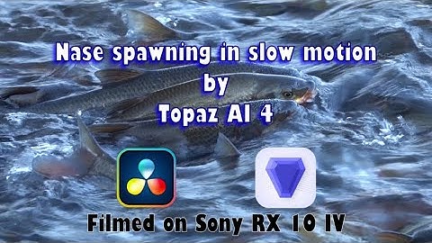 Topaz Video AI 4 - Rigorous test of the 8x super slow motion option by the Nase Spavning video.