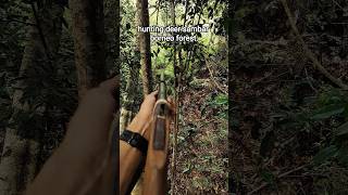 hunting deer sambar borneo forest #hunting #deersounds #sambardeer #nature #wildlife #animal #borneo