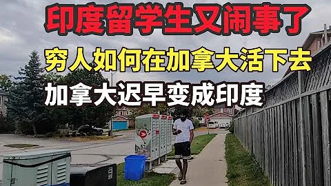 印度留學生又鬧事了，學校不應該讓印度留學生掛科？窮人在加拿大怎麼活下去？加拿大肯定會被印度化 - 天天要聞