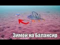 ОПУСТИЛ КАМЕРУ В ЛУНКУ а ТАМ.. Весь горизонт в рыбе🐟 Крупный Окунь рвёт балансир! Подводная съёмка