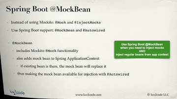53 MockBean   Overview