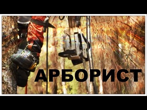 Видео: Галилео. Арборист