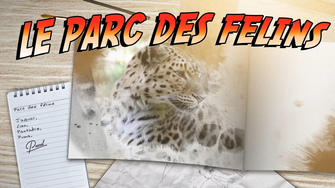 Le livre du PARC DES FÉLINS The PARC DES FÉLINS book YouTube Le livre du PARC DES FÉLINS The PARC DES FÉLINS book YouTube