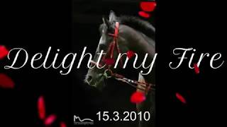 Delight My Fire Deli