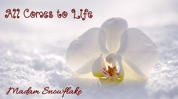 All Comes to Life by Madam Snowflake (Official Lyric Vid)