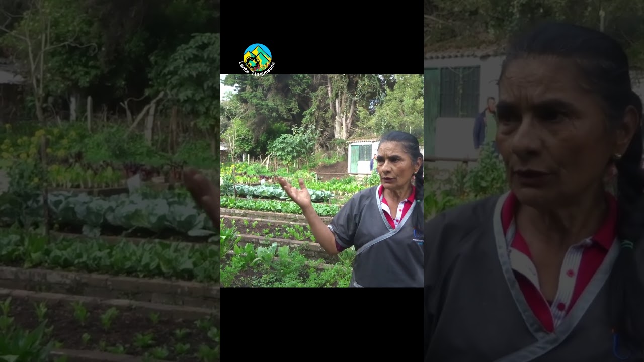 Adultos mayores y mujeres toman las riendas de la producción de alimentos en Facatativá 🌽🚜