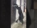 Bro Trying To Run From Prison😂🏃‍♂️ #funny #relatable #schoollife #viral #fpy #fypシ゚viral #foryou